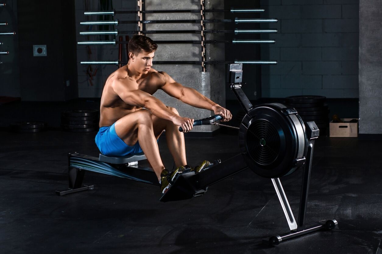 grebane fitnes - muskulni grupi.jpg