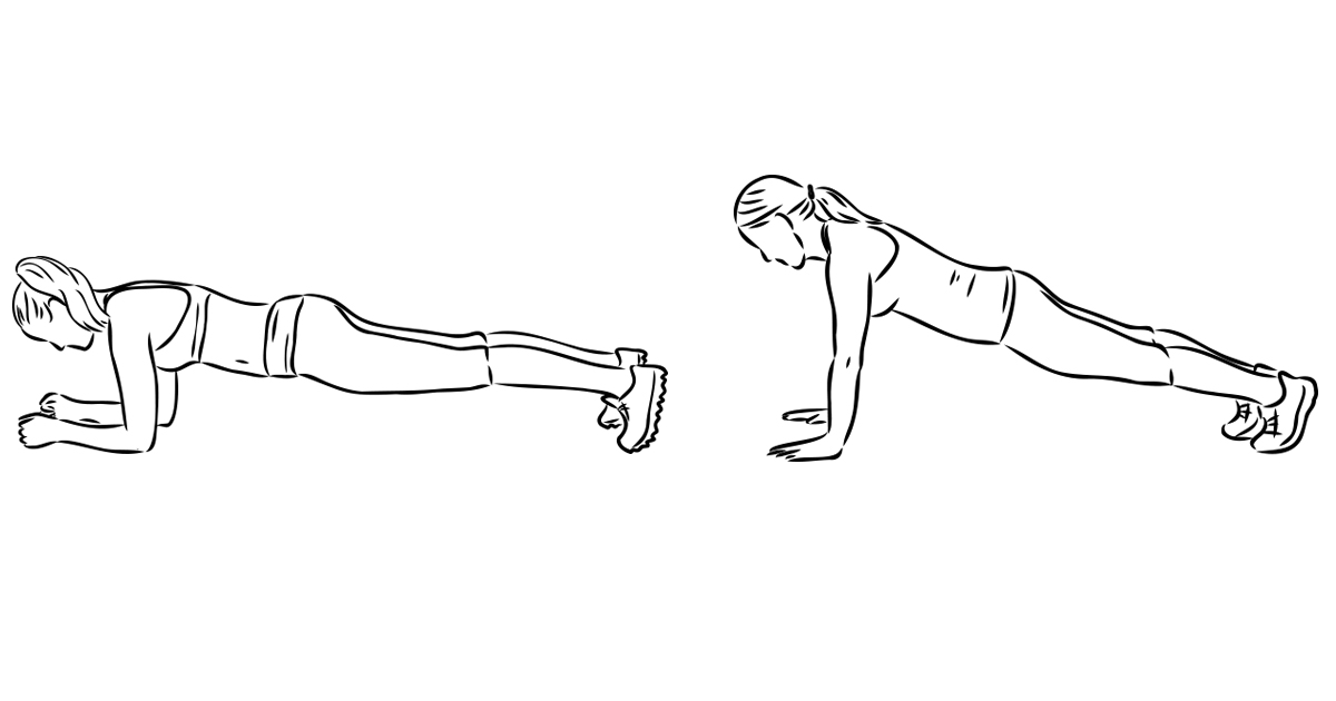 plank_animaciya 1.jpg